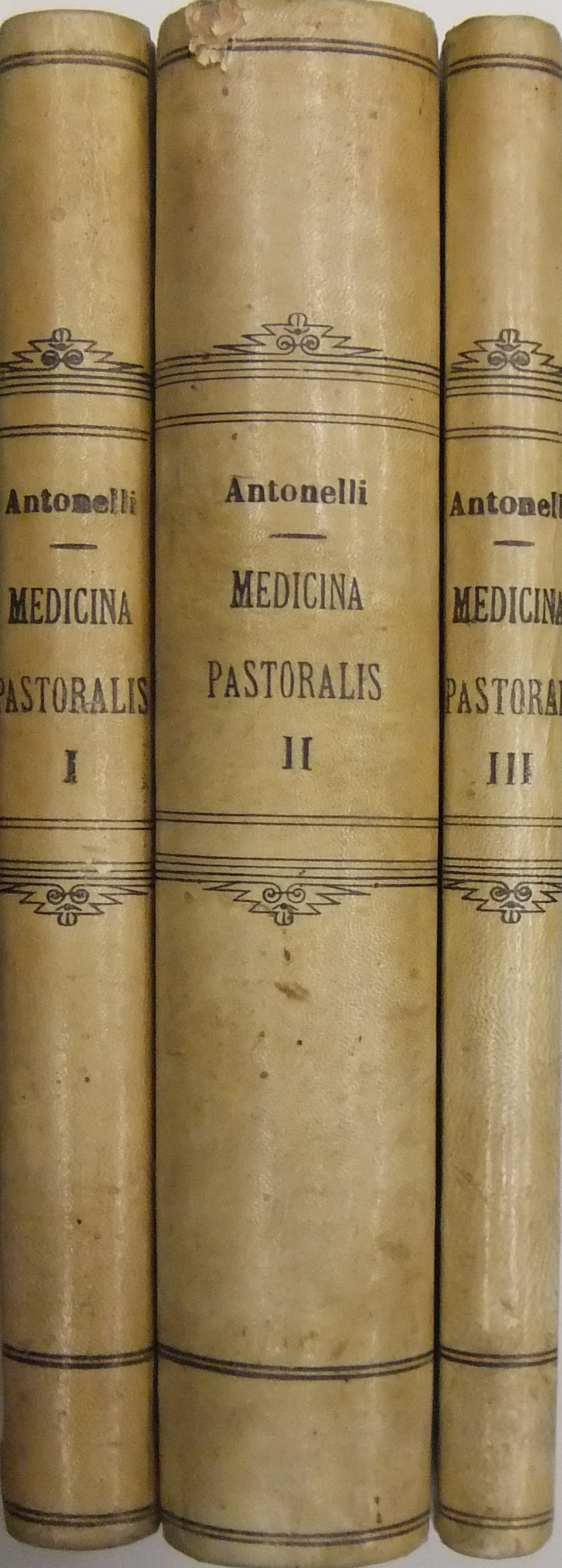 Medicina Pastoralis 