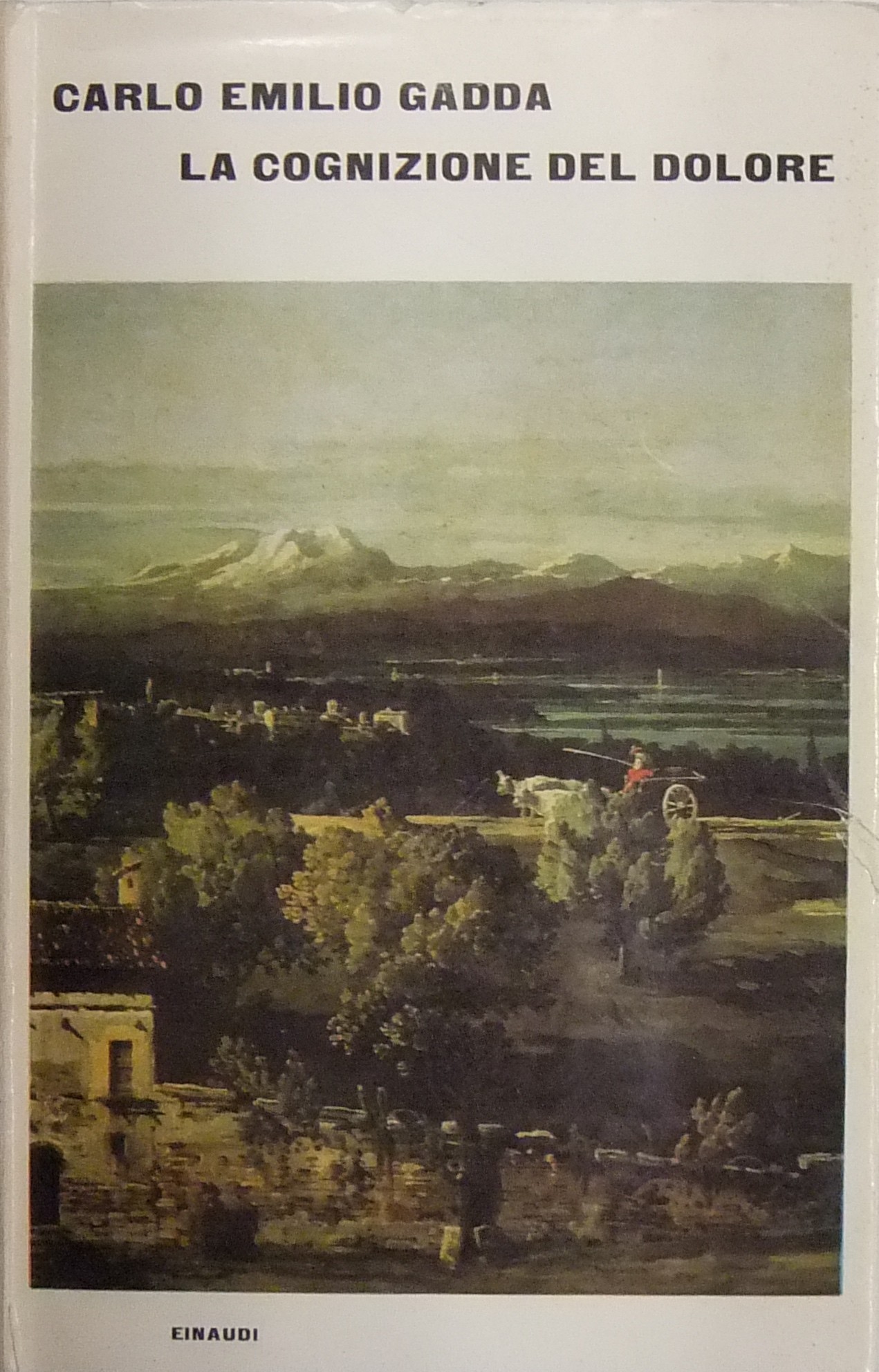 La cognizione del dolore.