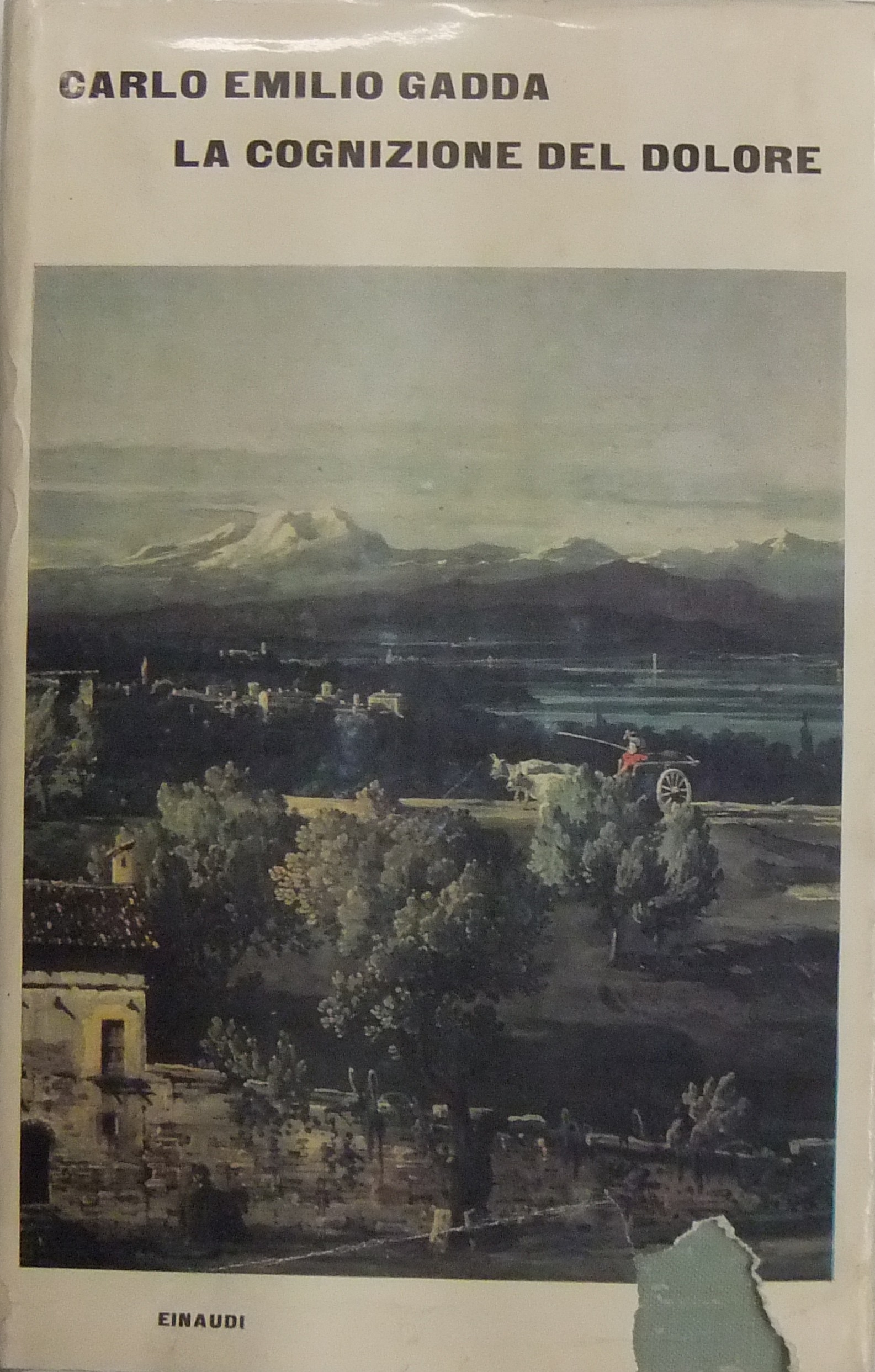 La cognizione del dolore. 