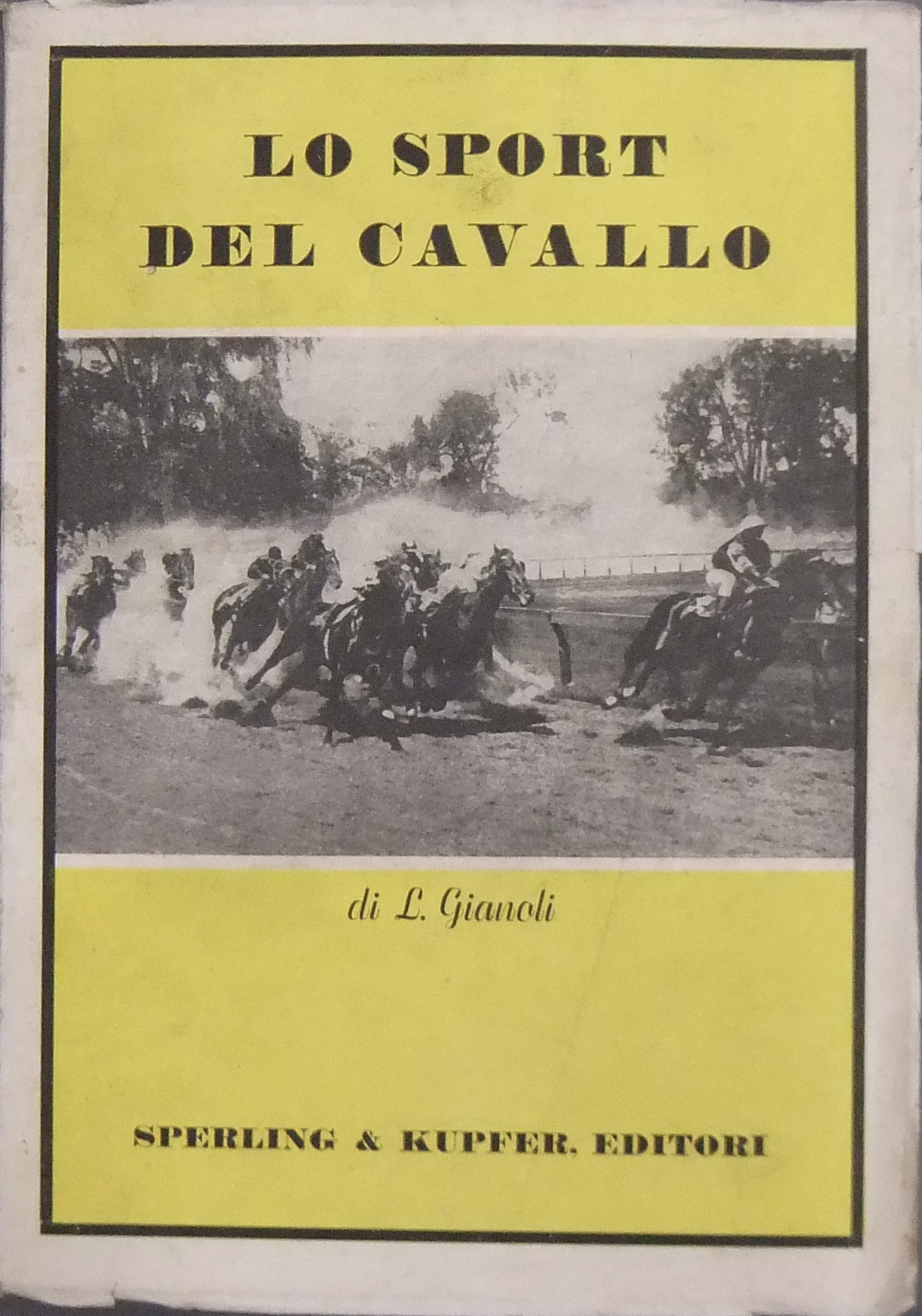 Lo sport del cavallo