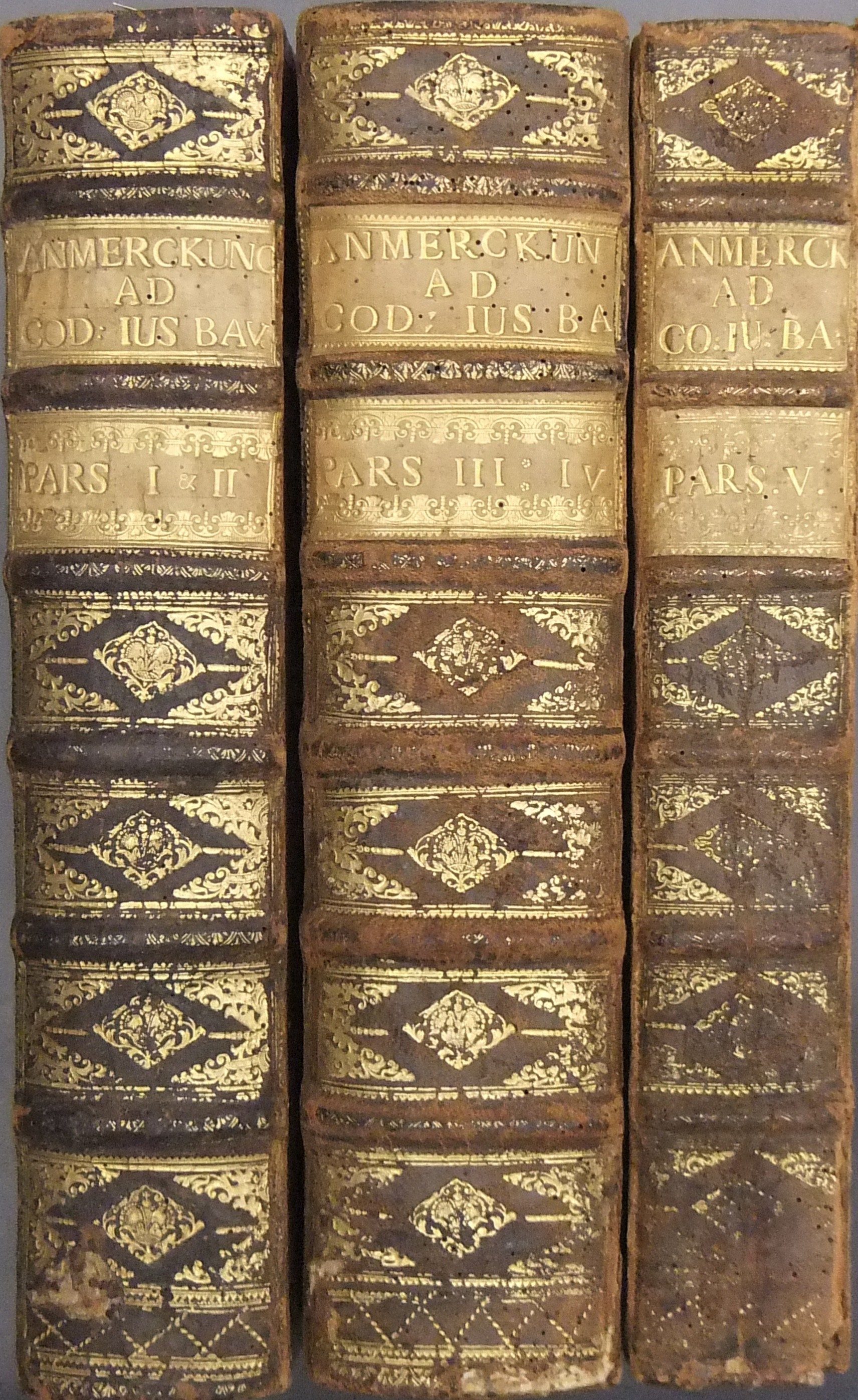 Anmerkungen uber den Codicem Maximilianeum Bavaricum