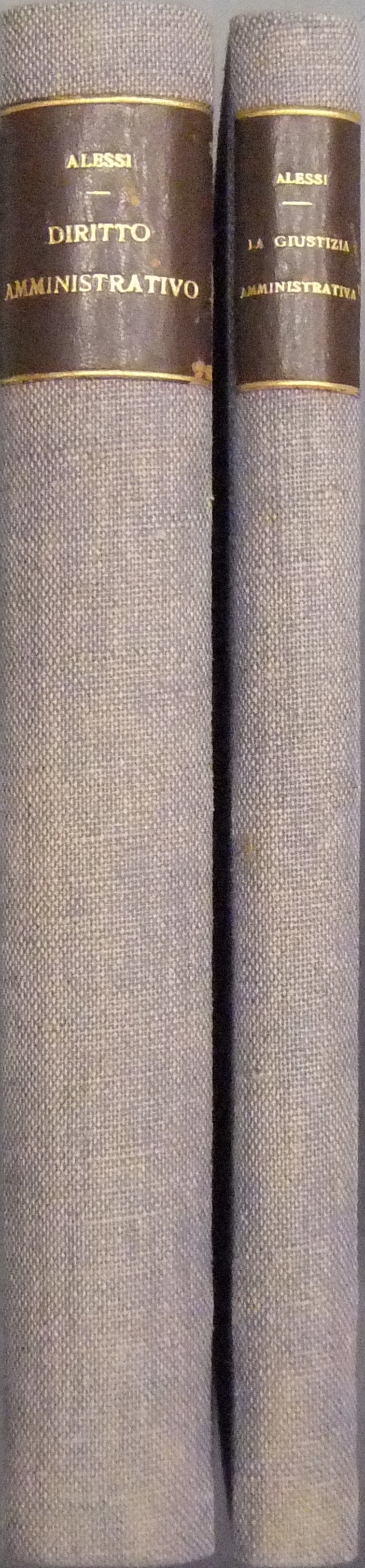 Diritto amministrativo. 