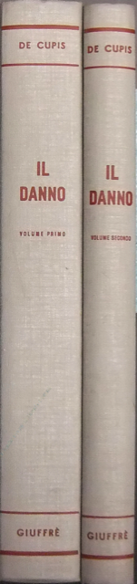 Il danno. Teoria generale della responsabilità civile