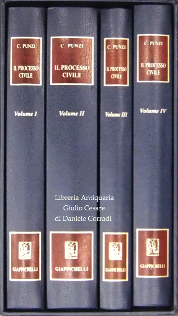 Il processo civile. Sistema e problematiche.