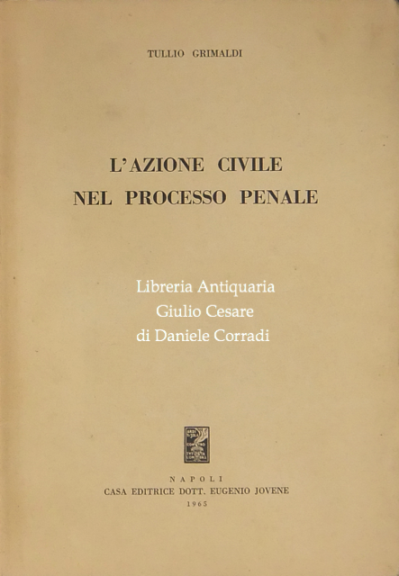 L'azione civile nel processo penale