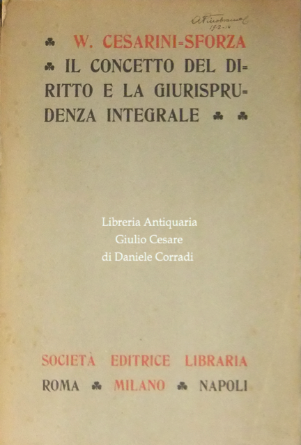 Il concetto del diritto e la giurisprudenza integrale