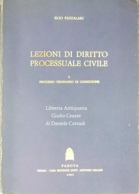 Lezioni di diritto processuale civile.