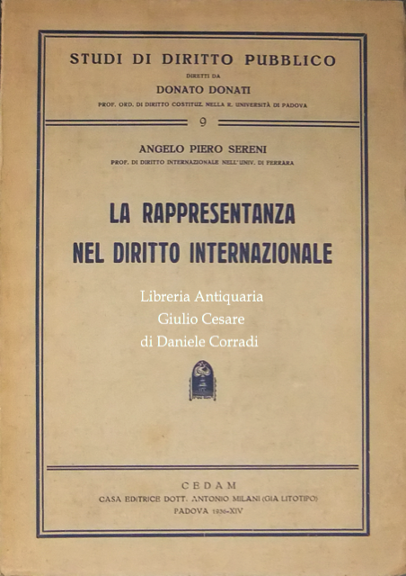 La rappresentanza nel diritto internazionale