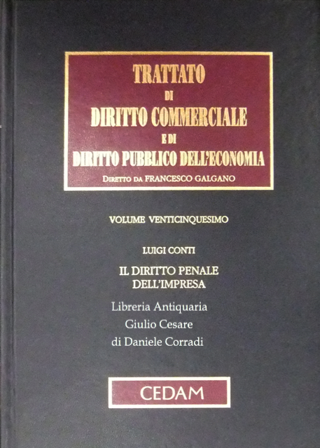 Il diritto penale dell'impresa