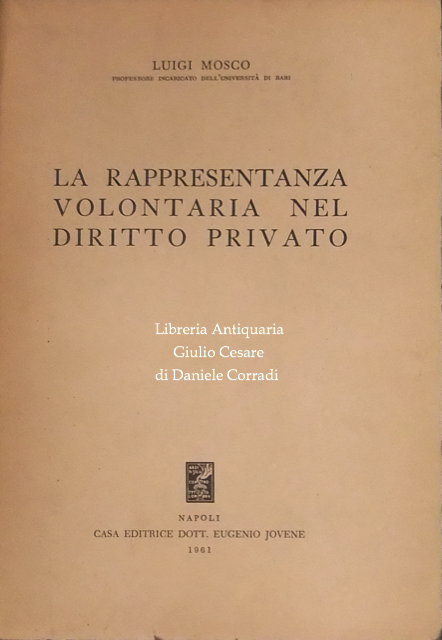 La rappresentanza volontaria nel diritto privato