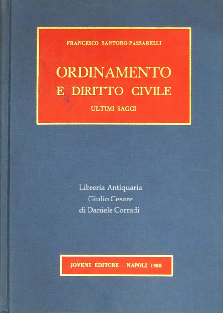 Ordinamento e diritto civile. Ultimi saggi