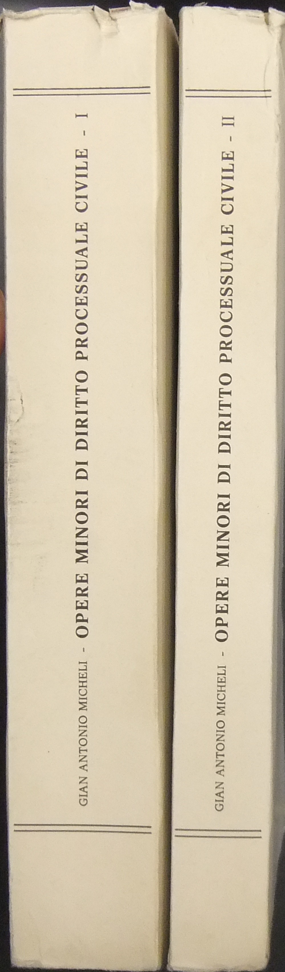 Opere minori di diritto processuale civile.