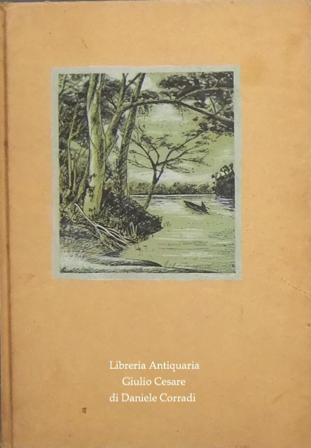 Le avventure di Huck Finn. 