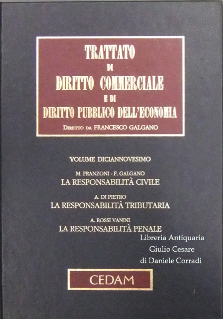 La responsabilità degli amministratori e dei sindaci