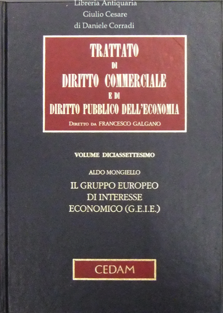 Il gruppo europeo di interesse economico (G.E.I.E.)