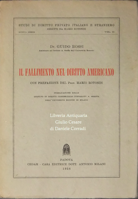 Il fallimento nel diritto americano