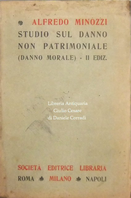 Studio sul danno non patrimoniale (danno morale)