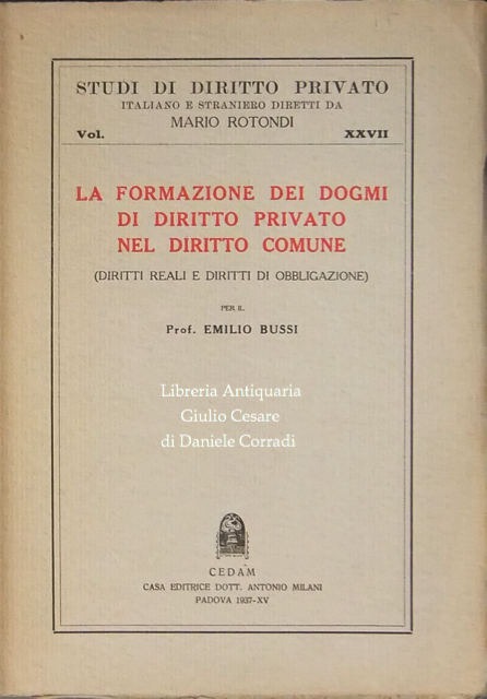 La formazione dei dogmi di diritto privato nel diritto comune