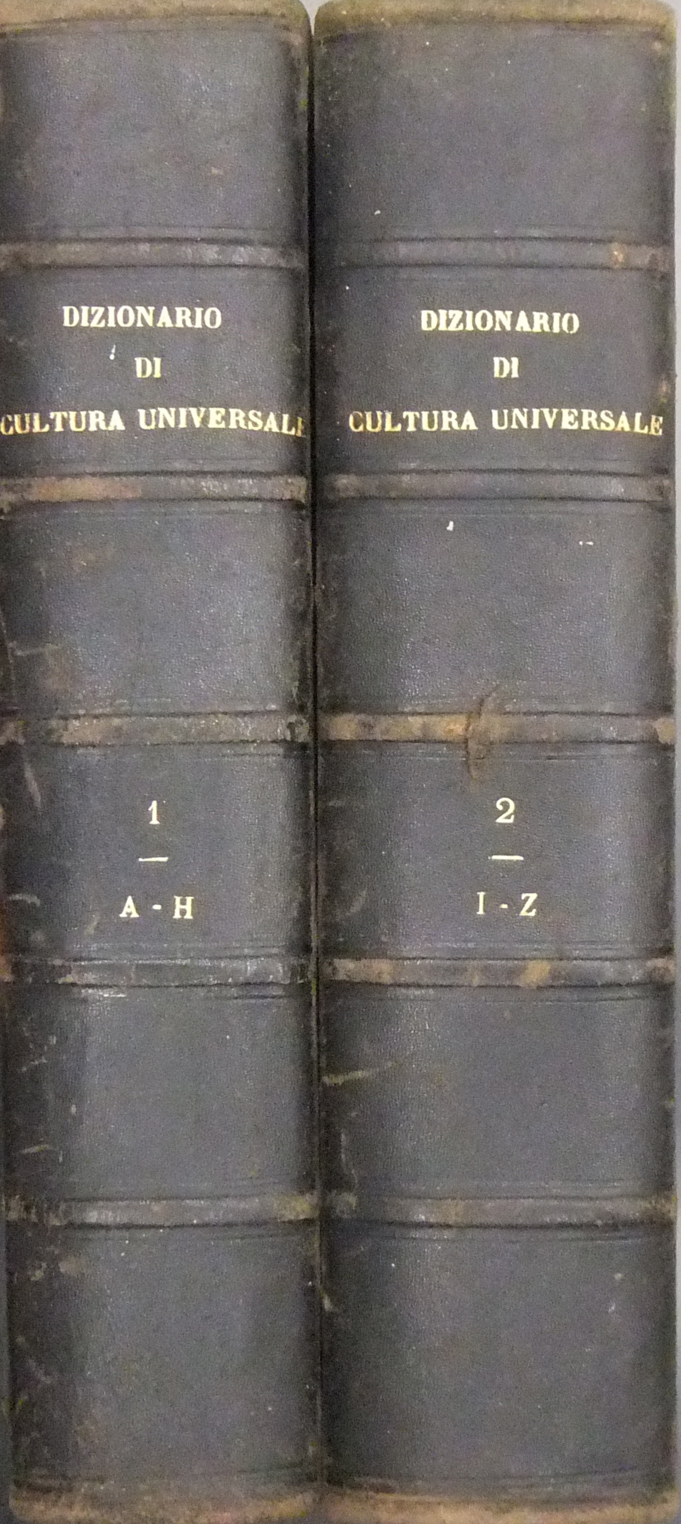 Dizionario di cultura universale e della lingua parlata