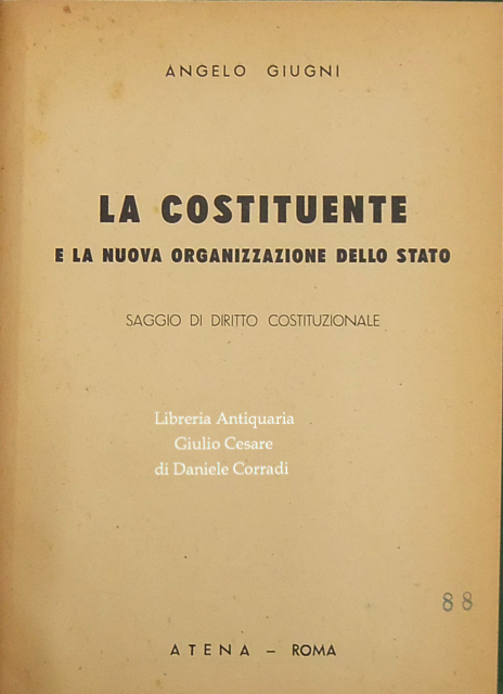 La Costituente e la nuova organizzazione dello Stato.