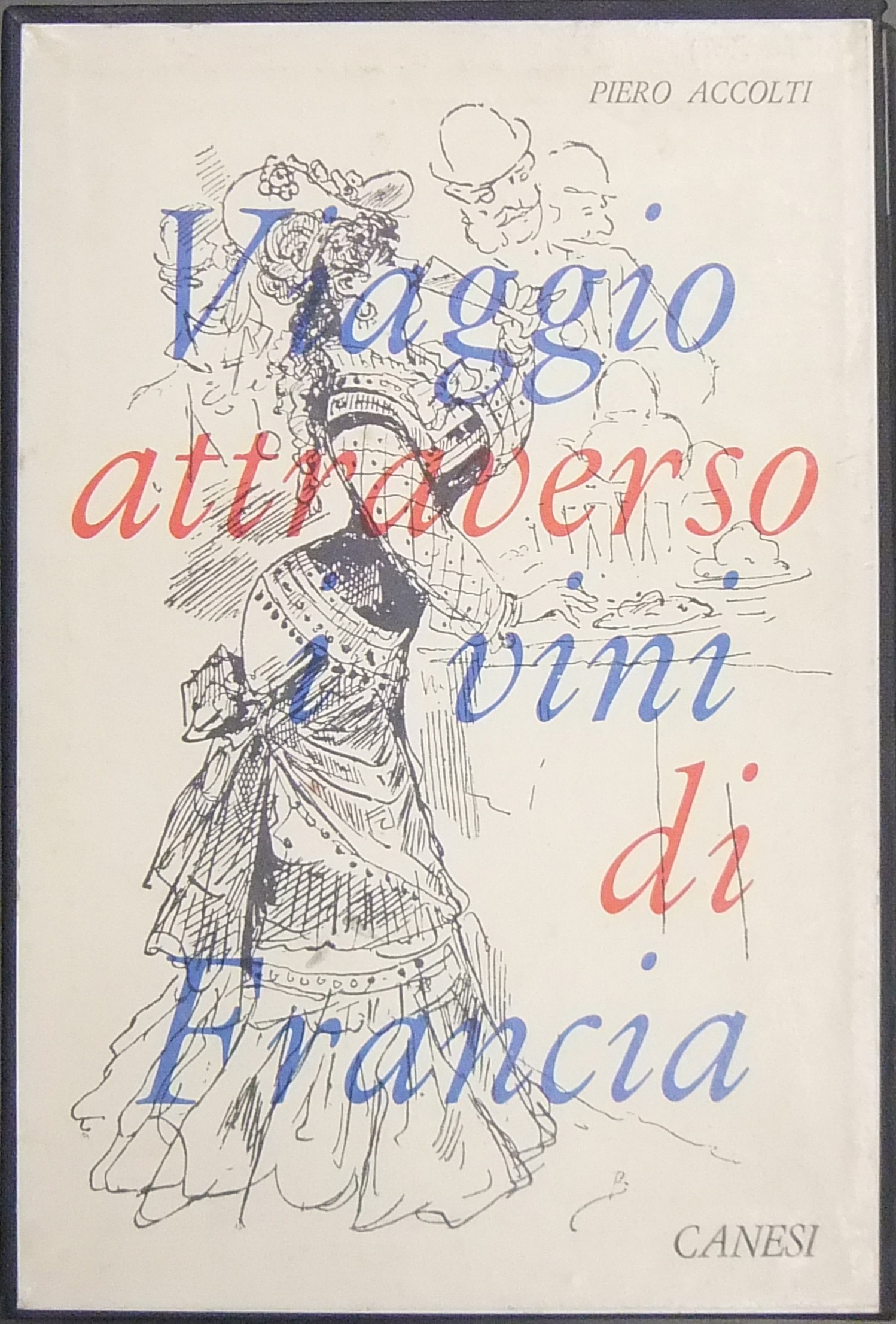 Viaggio attraverso i vini di Francia