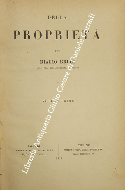 Della proprietà