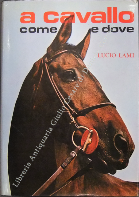 A cavallo come e dove