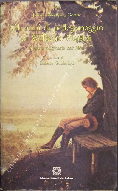 Gli anni di pellegrinaggio di Wilhelm Meister