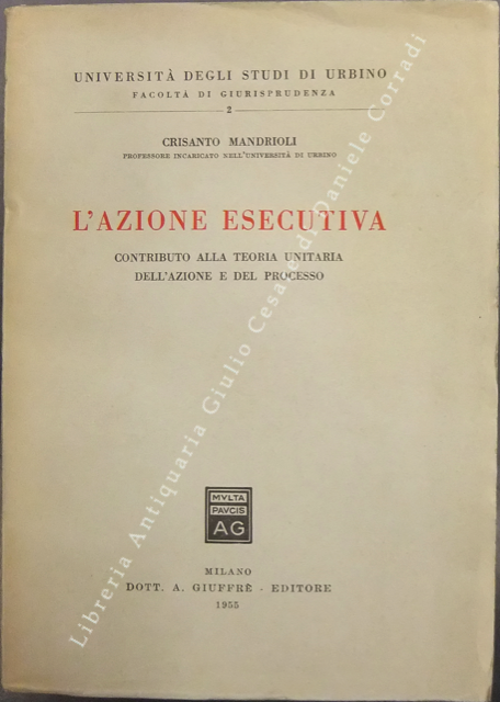 L'azione esecutiva.