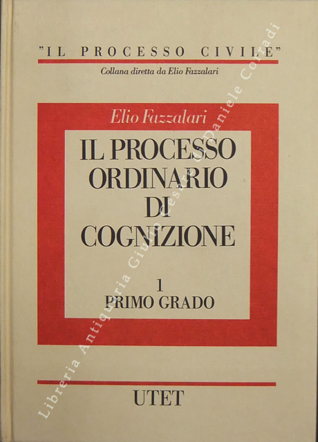 Il processo ordinario di cognizione.