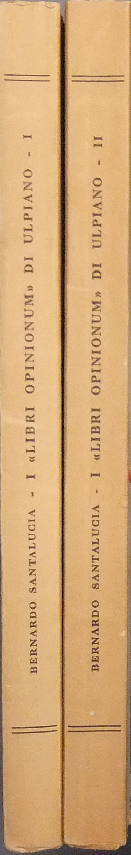 I libri opinionum di Ulpiano