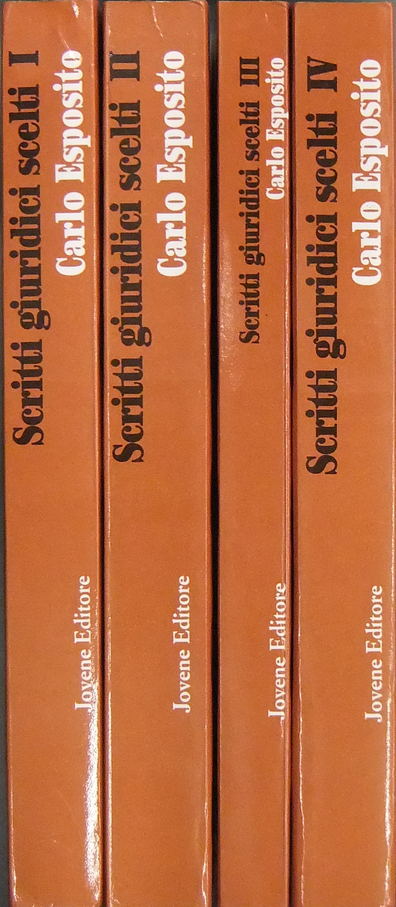 Scritti giuridici scelti.