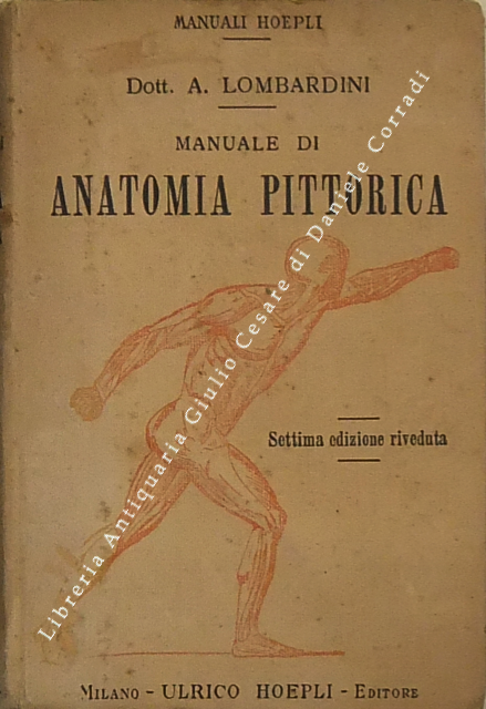 Manuale di anatomia pittorica