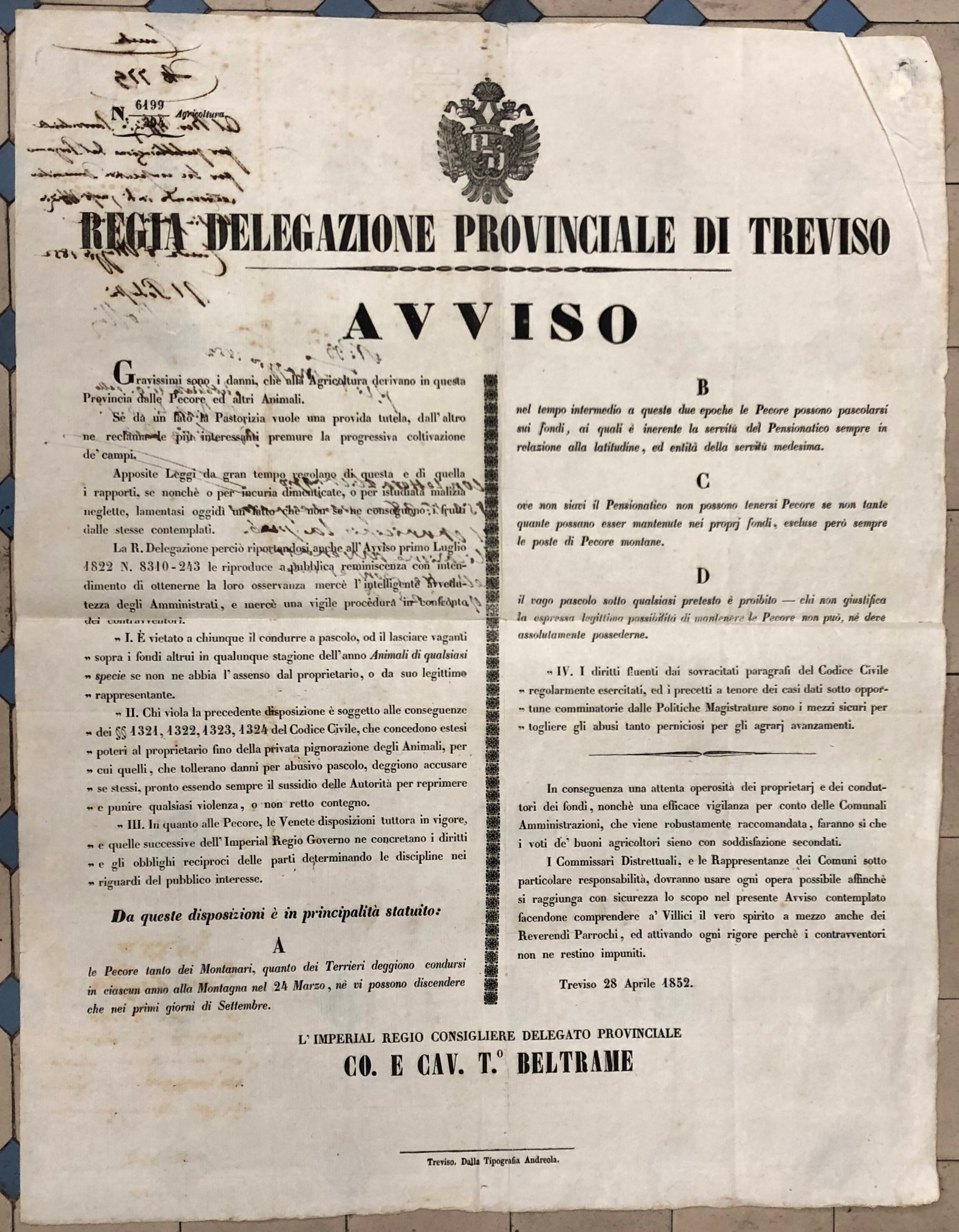 Regia Delegazione Provinciale di Treviso. Avviso