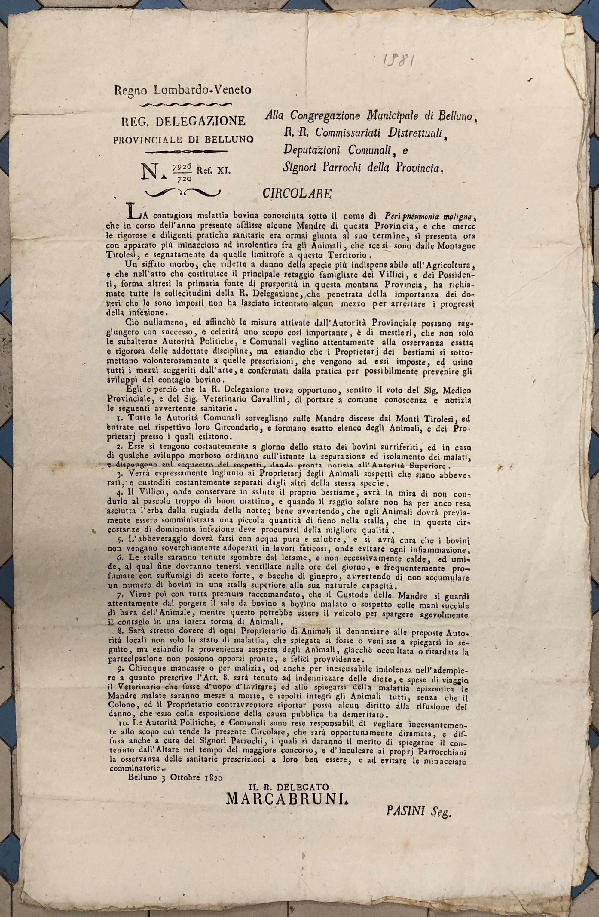 Regia Delegazione Provinciale di Belluno. Circolare