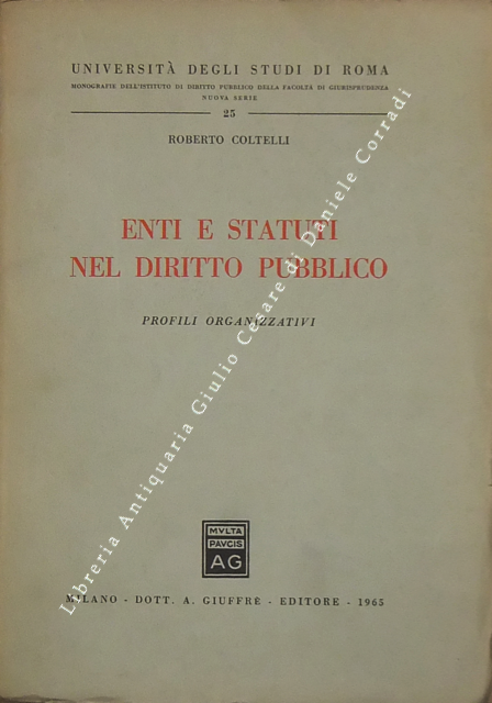 Enti e statuti nel diritto pubblico. Profili organizzativi