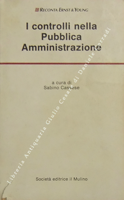 I controlli nella Pubblica Amministrazione