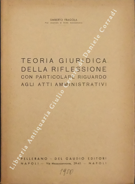 Teoria giuridica della riflessione