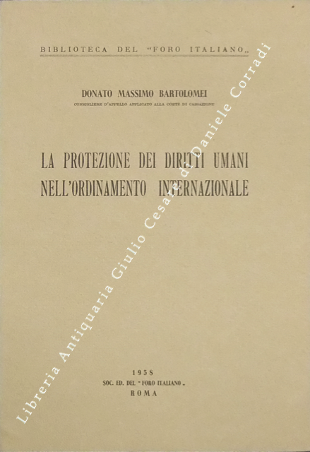 La protezione dei diritti umani nell'ordinamento internazionale