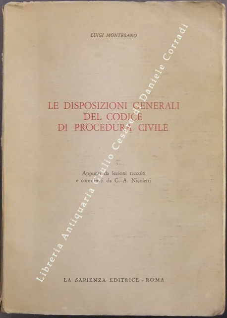 Le disposizioni generali del codice di procedura civile