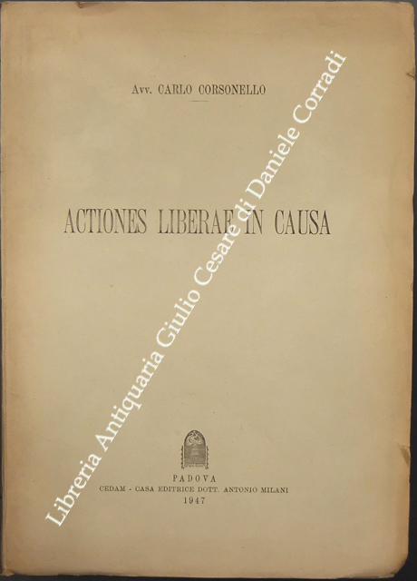 Actiones liberae in causa