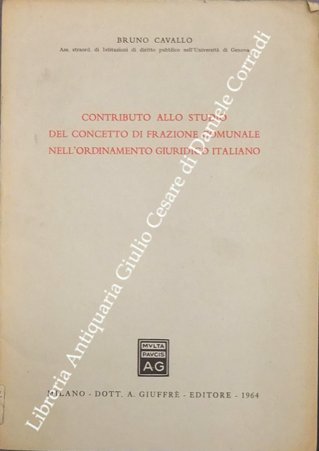 Contributo allo studio del concetto di frazione comunale nell'ordinamento giuridico italiano