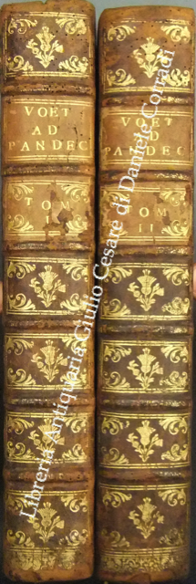Commentarius ad Pandectas.
