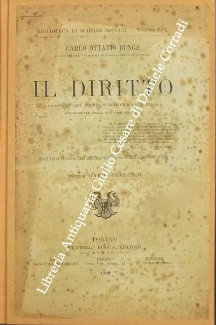 Il diritto. Saggio di una teoria scientifica