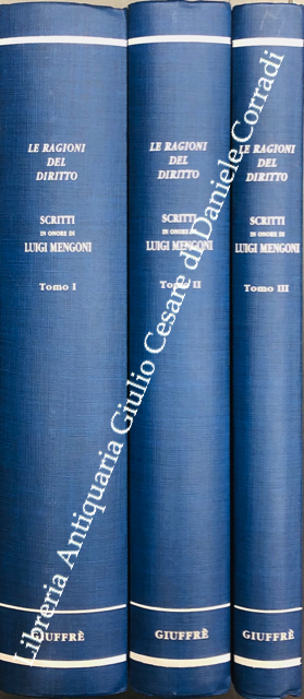 Scritti in onore di Luigi Mengoni