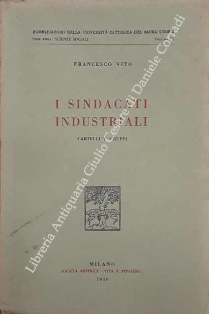 I sindacati industriali. Cartelli e gruppi