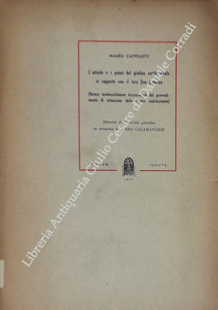 L'attività e i poteri del giudice costituzionale