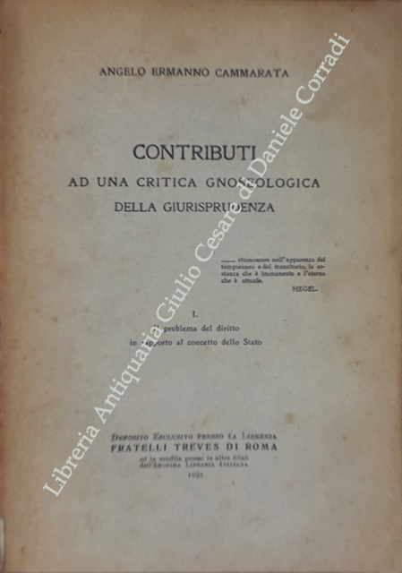 Contributi ad una critica gnoseologica della giurisprudenza