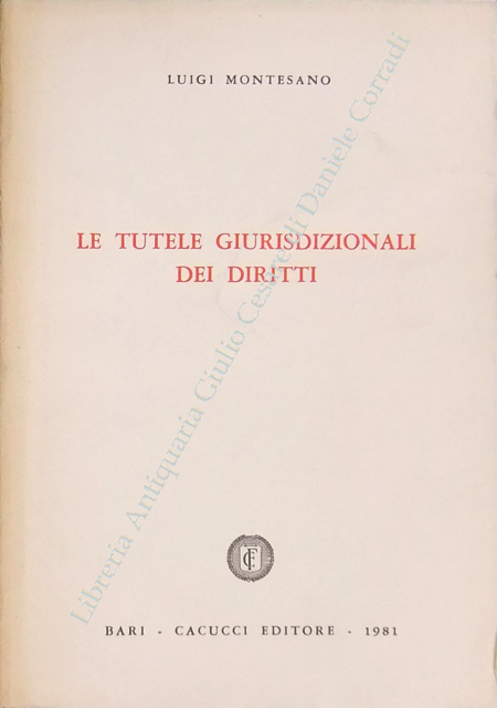 Le tutele giurisdizionali dei diritti