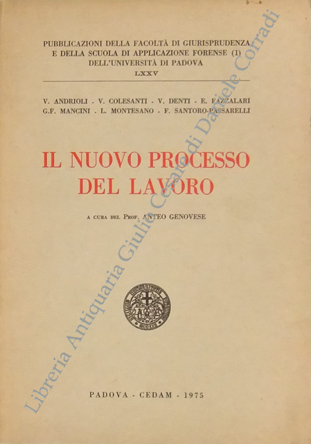 Il nuovo processo del lavoro